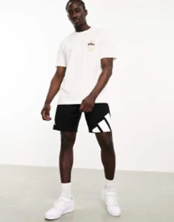Adidas Basketball Camp Story Back Print T-Shirt In